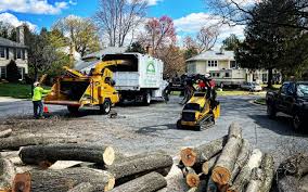 Best Tree Trimming and Pruning  in Lakeport, CA