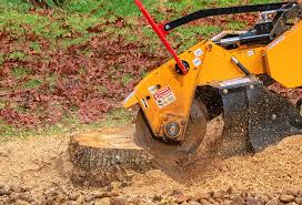 Best Pest Control for Lawns  in Lakeport, CA